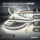 Светодиодная лента 3м 24В 20Вт/м 4000К IP33 нейтральная дневная подсветка 240 Вт/м Geni