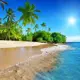 Фотообои Divino Decor Дикий пляж C-002 300x270 см