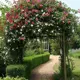 Фотообои Divino Decor Дорожка под аркой B-007 200x270 см