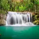 Фотообои Divino Decor Лесной водопад C-017 300x238 см