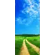 Наклейка для дверей и мебели Wallfix "Тропинка в деревне" 95x220 см, W166