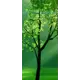Наклейка для дверей и мебели Wallfix "Молодое деревце" 95x220 см, W181