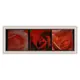 Картина в раме "Триптих розы" 30x95 см