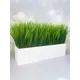 Осока в деревянном ящике Подар.Ок Home белый 9x9x35 см