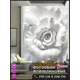 Фотообои флизелиновые Homepick oboi_print200X270 200x270 см WhiteRose/111859/