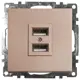 Розетка USB встраиваемая Stekker Катрин 39602 цвет шампань