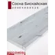 Кухонная столешница Союз 300x60x2.6 см ЛДСП цвет сосна бискайская