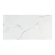 Керамогранит Siscon tiles Carrara white 6908 60x120см цвет белый