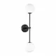 Настенный светильник St luce Chieti Sl1506.401.02 цвет черный