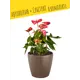 Кашпо настольное с автополивом LECHUZA CLASSICO Color 18 13262, 5 л