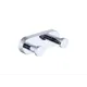 Крючок двойной RAGLO R300.052 цвет хром