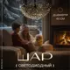 Светодиодный новогодний шар Magical Ball 86MB60BL23 60x30 см черный