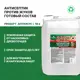 Антисептик Prosept 024-10 против жуков 10 л