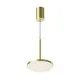 Светильник подвесной светодиодный Technical Plato P076pl-l12w4k-bs 6 м² нейтральный белый свет цвет золотой