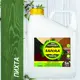 Морилка для дерева Safora цвет пихта 5л