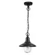 Светильник уличный подвесной Odeon Light Od_4965_1 60 Вт IP44 цвет черный
