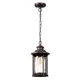 Светильник уличный подвесной Odeon Light Od_4961_1 60 Вт IP44 цвет коричневый