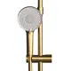 Лейка для душа со шлангом Am.pm X-Joy F01185AN99 шланг 175 см, 3 режима цвет золото