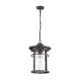 Светильник уличный подвесной Odeon Light Od_4044_1 100 Вт IP44 цвет коричневый