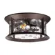 Светильник уличный потолочный Odeon Light Od_4961_2c 60 Вт IP44 цвет коричневый
