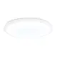 Светильник настенно-потолочный светодиодный Ambrella light Fz1232 10 м² нейтральный белый свет цвет белый