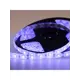 Светодиодная лента Lamper 141-493 4.8 Вт/м 12 В 21 мм IP65 5 м синий свет