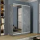 Шкаф-купе с зеркалом МК Е1-Юг Экспресс 220x120x60 см 7 полок ДСП цвет бетон