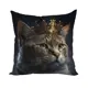 Подушка декоративная Zaberite Коты-Короли Генри 3467, 40x40 см