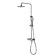 Душевая система Lemark Bronx LM3760GM 1 режим цвет графит