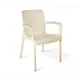 Стул Sheffilton 4803229206 56.5x80x50 см полипропилен цвет Бежевый