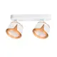 Спот поворотный Arte Lamp A8028pl-2wh 2 лампы GX53 2 м² цвет белый