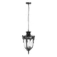 Светильник уличный подвесной Loft it Lf_100002p 60 Вт IP55 цвет коричневый