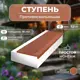Ступень Композит 54 250x1000x20мм кирпичный