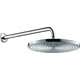 Душевая лейка Hansgrohe 27493000