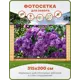 Фотосетка Art ФС254 Сирень 2 315x200см
