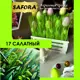 Краска акриловая художественная Safora KR17.70 банка 70 г салатный