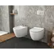 Биде Grossman GR B4455 подвесное