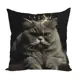 Подушка декоративная Zaberite Коты-Короли Филипп 3474, 40x40 см