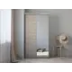 Шкаф-купе с зеркалом МК Е1-Юг Хит 220x120x60 см 2 полки ДСП цвет ясень шимо светлый