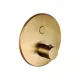 Смеситель для душа PAFFONI Compact Box CPT013HGSP цвет золотой