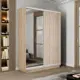 Шкаф-купе с зеркалом МК Е1-Юг Экспресс 220x140x45 см 7 полок ДСП цвет сонома