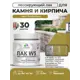 Лак для минеральных поверхностей камня и кирпича тонирующий Malare Series W без запаха матовый папоротник 0.5 кг