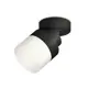 Светильник точечный накладной Ambrella light Xm8102021 2 м² цвет черный