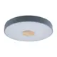 Светильник настенно-потолочный светодиодный Loft It LF_10003_24_Grey Axel 5.2 м² нейтральный белый свет цвет серый/серебристый
