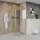 Душевая перегородка Niagara NG-644-90GOLD 90x195см золото профиль