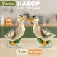 Банка для специй Elan gallery керамика цвет разноцветный 340058