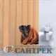 Шторка для ванной комнаты Bath Plus 26837 180x200см цвет бесцветный/прозрачный