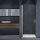 Душевая дверь Vincea VDP-3AL700CLG 70см эффект стекла прозрачный распашной
