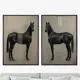 Набор картин Artnomore The Horses 2024г. AR-777001013 75x105 см 2 шт