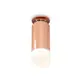 Светильник точечный накладной Ambrella light Xs6326083 2 м² цвет золотистый